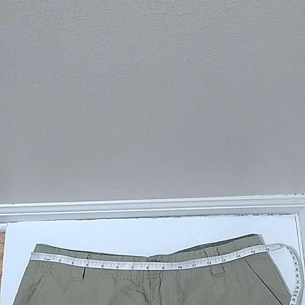 The Northface Women's Nylon Shorts